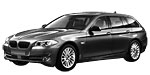 BMW F11 C20D8 Fault Code